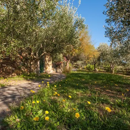 Piccola Oasi-7 By Interhome